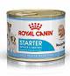 Royal Canin Pies Mini Starter Mousse Mokra Karma 195g