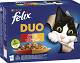 Felix Kot DUO Wiejske Smaki Mokra Karma (galaretka) 12x85g