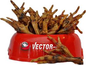 Vector-Food Kurza łapka suszona (wędzona) gryzak 50szt.