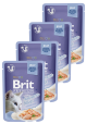 Brit Premium Kot with Salmon Fillets for Adult Cats Jelly Mokra Karma z łososiem 12x85g PAKIET