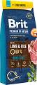 Brit Premium by Nature Pies Adult Sensitive Lamb & Rice Sucha Karma z jagnięciną 15kg + 3kg GRATIS