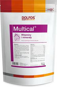 Dolvit Multical suplement diety w proszku dla psa 1kg