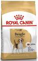 Royal Canin Pies Beagle Adult Sucha Karma 12kg [Data ważności: 8.07.2023]