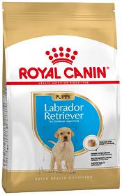Royal Canin Pies Labrador Retriever Puppy Sucha Karma 12kg 