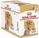 Royal Canin Pies Yorkshire Terrier Adult Mokra Karma 12x85g PAKIET