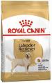 Royal Canin Pies Labrador Retriever Adult Sucha Karma 12kg