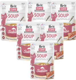 Brit Care Adult Mokra Karma Zupa z łososiem dla kota 15x75g PAKIET