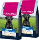 Eukanuba Pies Thriving Large Mature Sucha Karma 2x15kg DWU-PAK