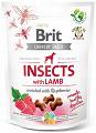 Brit Care Crunchy Snack Cracker Insect & Lamb przysmak 200g