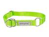 Amiplay Samba Obroża półzaciskowa dla psa rozm. XL (40-60cm) kolor zielony WYPRZEDAŻ