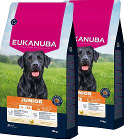   Eukanuba Pies Junior Large & Extra Large Sucha Karma z kurczakiem 2x15kg DWU-PAK