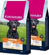   Eukanuba Pies Junior Large & Extra Large Sucha Karma z kurczakiem 2x15kg DWU-PAK