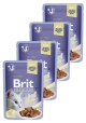 Brit Premium Kot with Beef Fillets for Adult Cats Jelly Mokra Karma z wołowiną 12x85g PAKIET