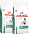 Royal Canin Veterinary Pies Satiety Weight Management Sucha Karma 2x12kg DWU-PAK