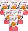 Schesir Soup Adult Salmon&Pumpkin in Broth Mokra Karma z łososiem i marchewką dla kota 12x40g PAKIET