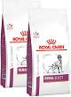 Royal Canin Veterinary Pies Renal Select Sucha Karma 2x10kg DWU-PAK