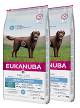 Eukanuba Pies Large Adult Daily Care Weight Control Sucha Karma 2x15kg DWU-PAK